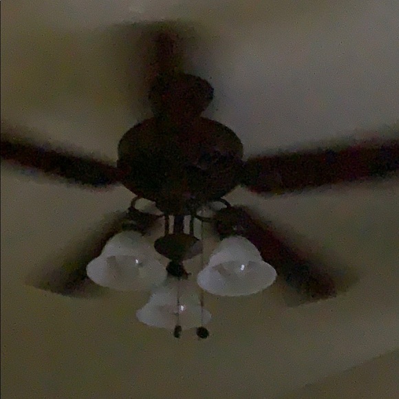 Meet your Posher, Ava monique - Picture 1 of 1